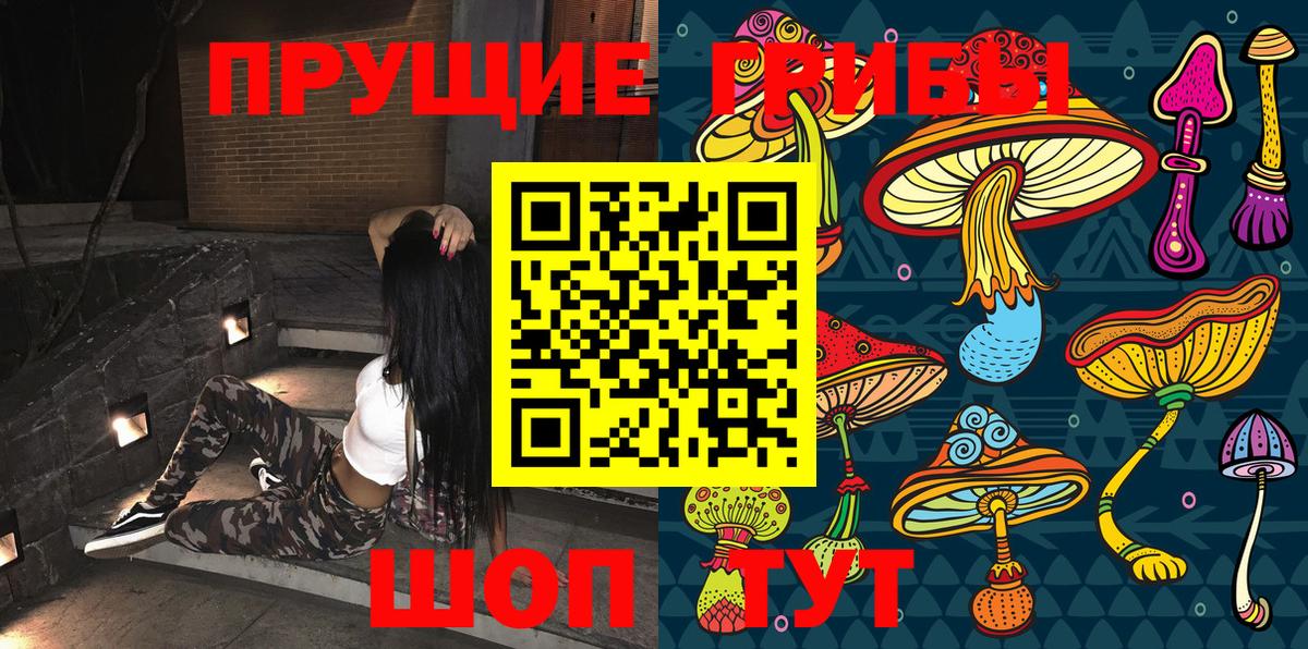 Псилоцибиновые грибы прущие грибы  Вход с VPN  Анжеро-Судженск 