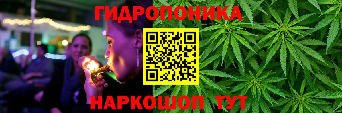 Бошки Шишки гибрид  Бошки марихуана MAZAR  Вход с VPN  Анжеро-Судженск 